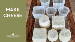 cheese molds set