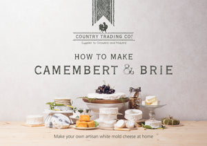 cheesemaking recipe book
