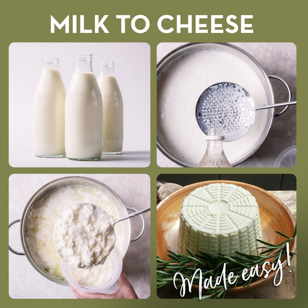 cheesemaking gift kit