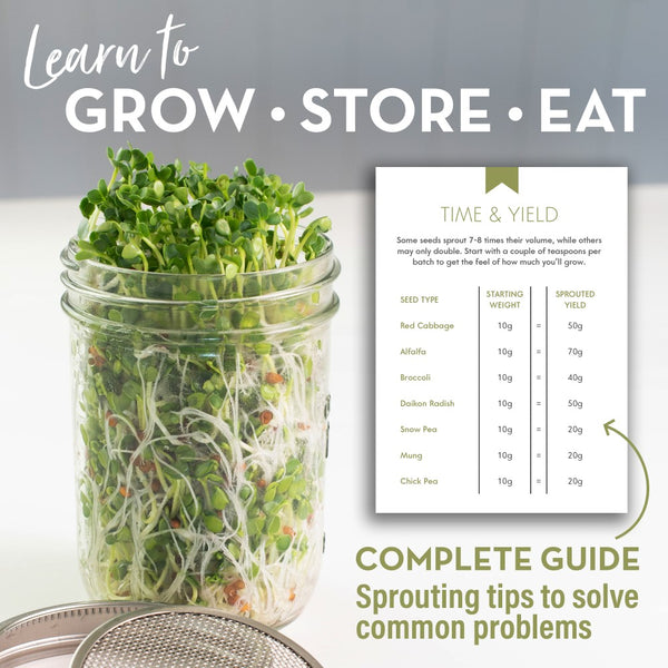 guide to seed sprouting