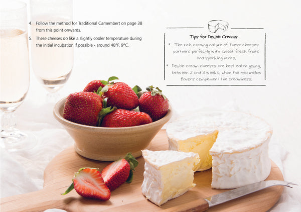 cheesemaking recipe book for brie