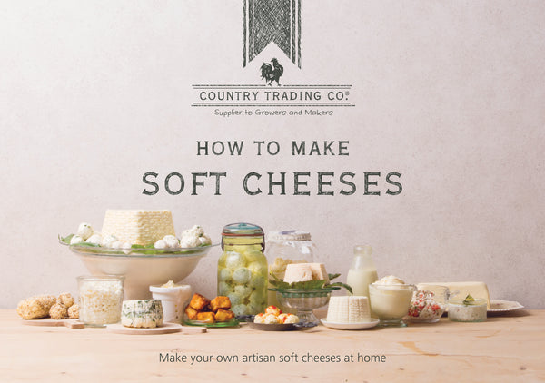 cheesemaking recipe book for beginners