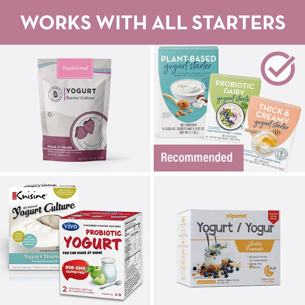 best starters for yogurt maker