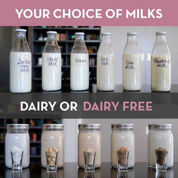 yogurt maker dairy free